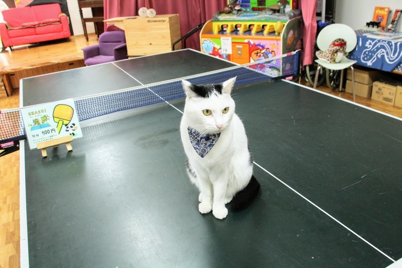 f:id:kibi6:20211231202459j:plain