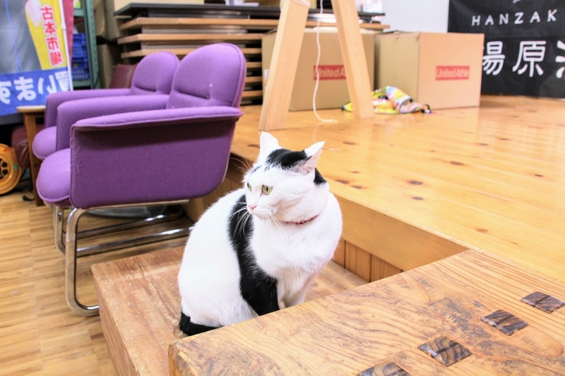 f:id:kibi6:20211231202759j:plain