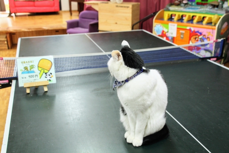 f:id:kibi6:20211231202825j:plain