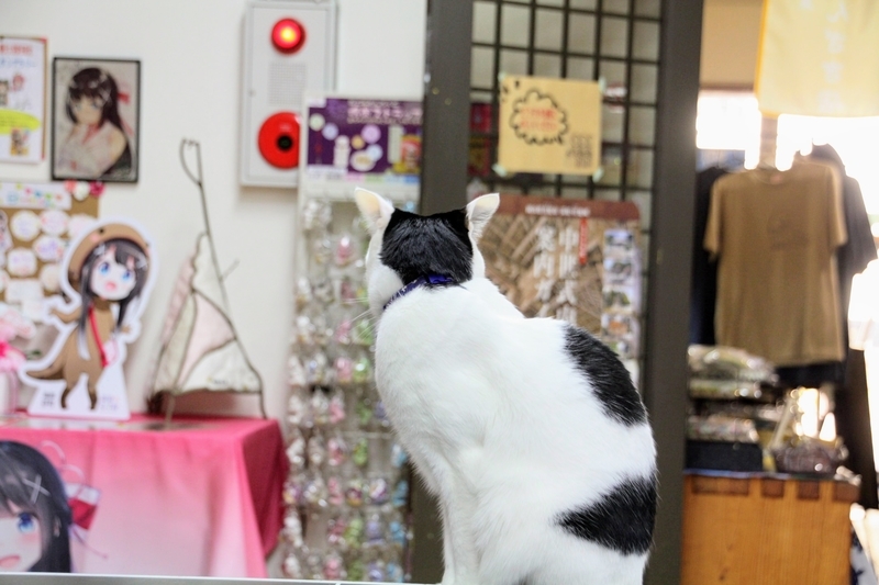 f:id:kibi6:20211231202851j:plain