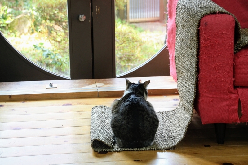 f:id:kibi6:20211231210246j:plain