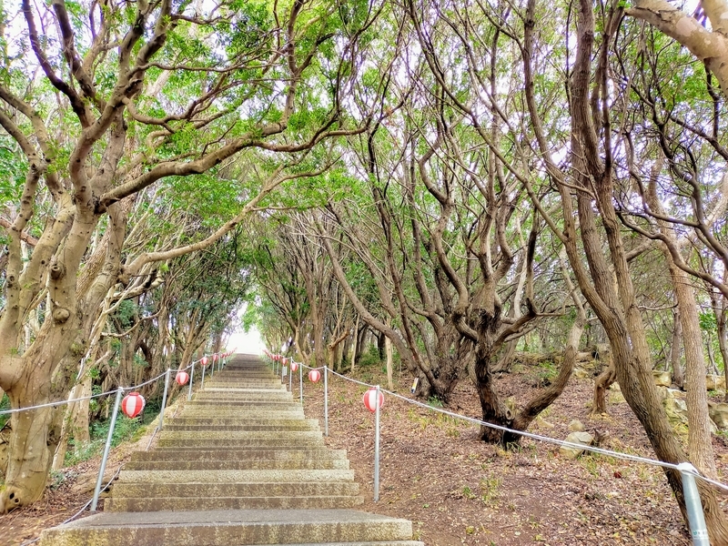 f:id:kibi6:20220227014035j:plain