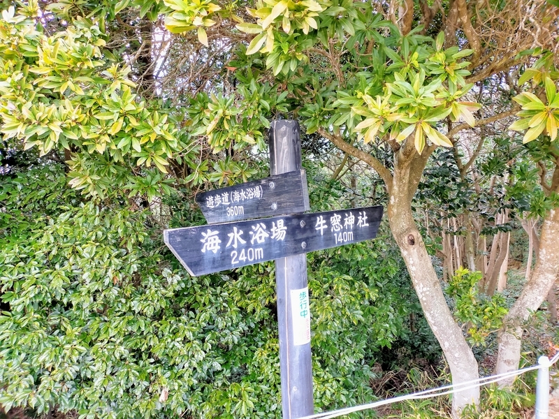 f:id:kibi6:20220227014635j:plain