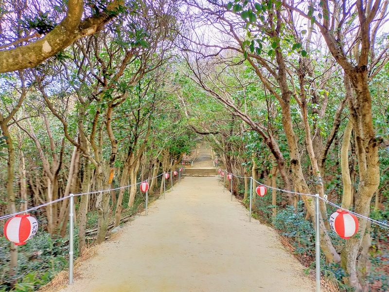 f:id:kibi6:20220227014644j:plain