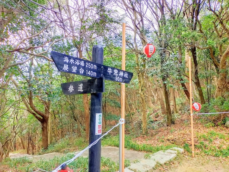 f:id:kibi6:20220227014751j:plain