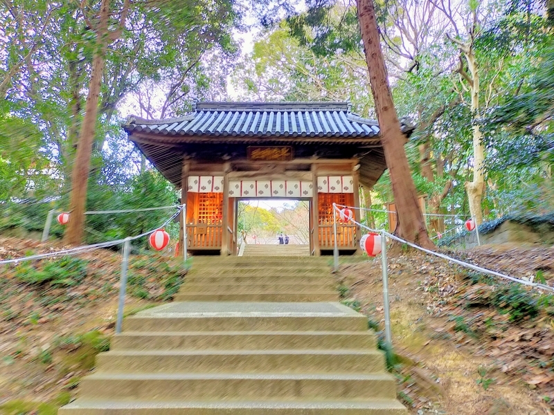 f:id:kibi6:20220227014808j:plain