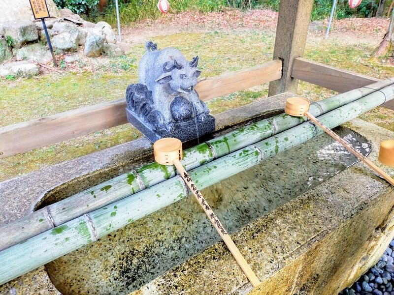 f:id:kibi6:20220227014838j:plain