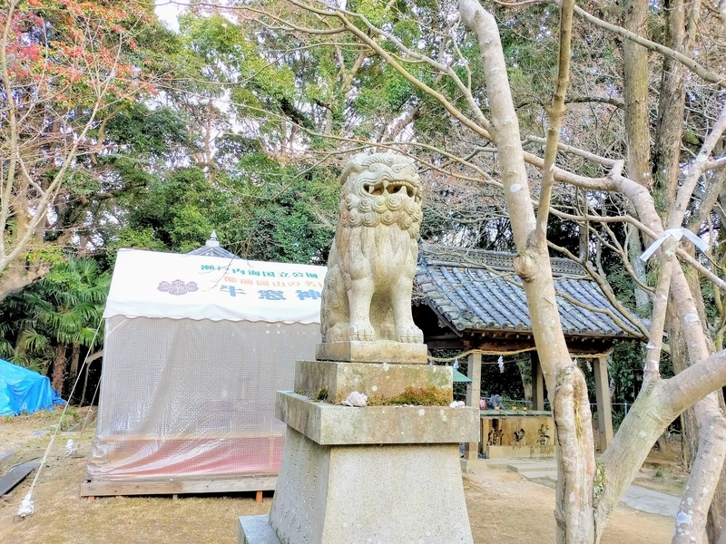 f:id:kibi6:20220227014847j:plain