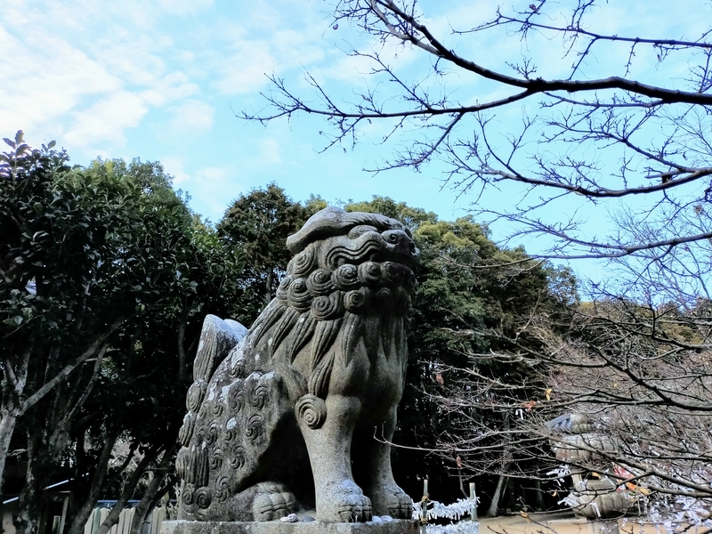 f:id:kibi6:20220227014855j:plain