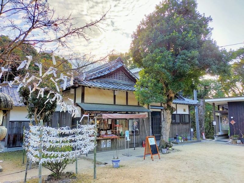 f:id:kibi6:20220227014904j:plain