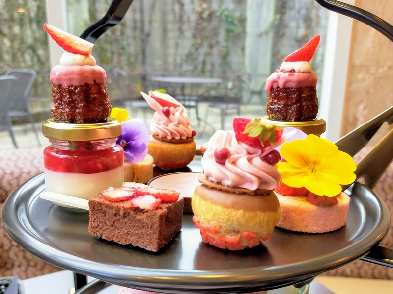 f:id:kibi6:20220323231331j:plain