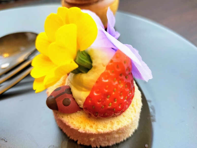 f:id:kibi6:20220323231403j:plain