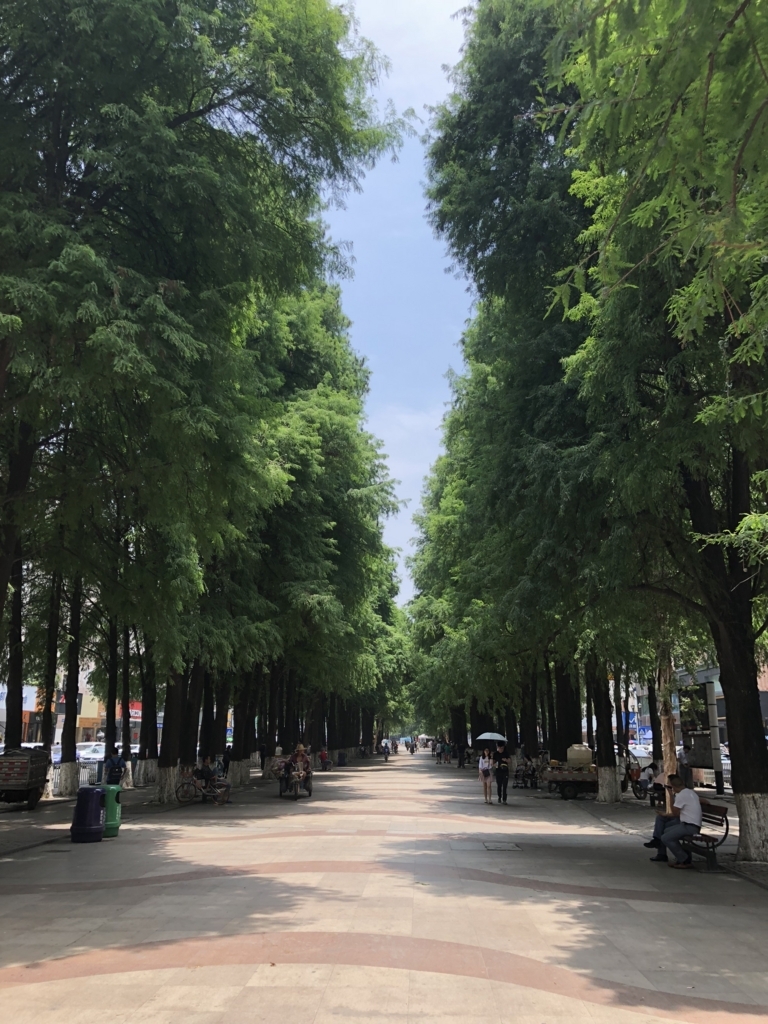 f:id:kibidangohitotsu:20180612140013j:plain f:id:kibidangohitotsu:20180612140013j:plain
