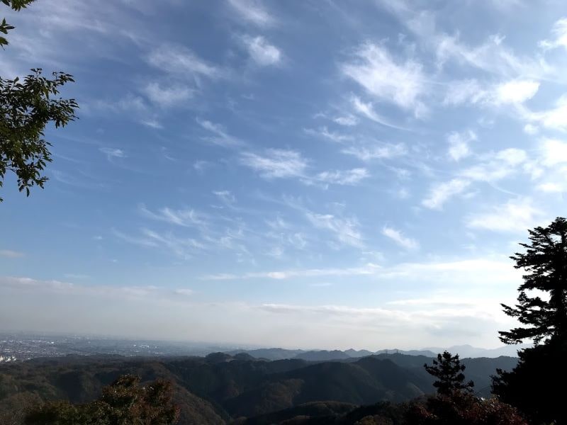 f:id:kibikibinote:20201127194131j:plain