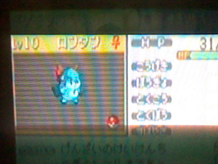 改造ポケットモンスター ベガ のことなど ヘタき日記
