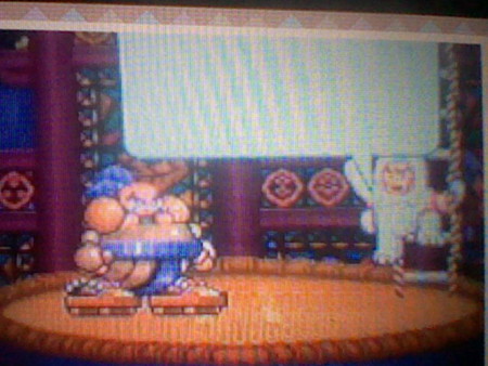 f:id:kibisan:20120111213911j:image