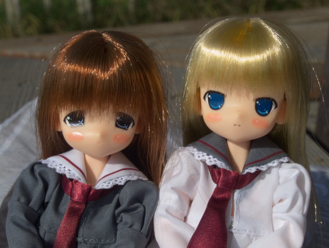 f:id:kibojin:20080925223027j:image