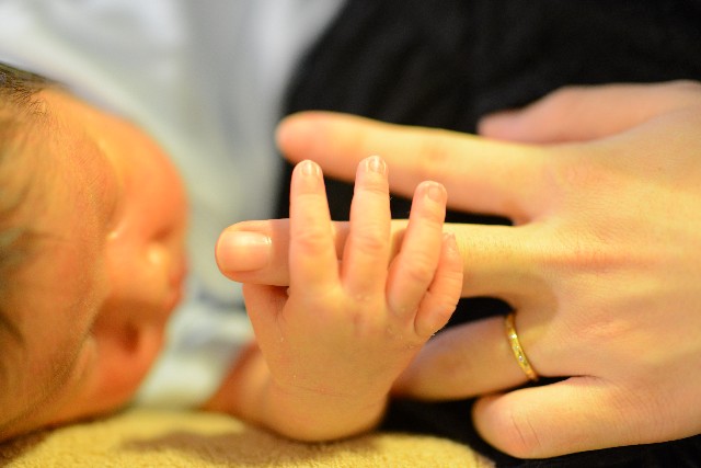 f:id:kiboucha215:20180902232807j:plain