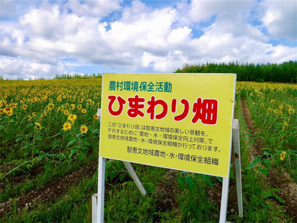 f:id:kibunsonouchi:20180818225417j:image f:id:kibunsonouchi:20180818225417j:image