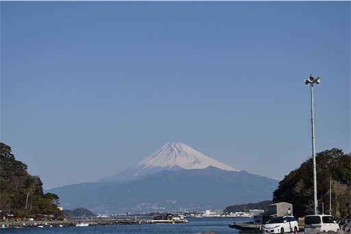 f:id:kichibun:20190320190917j:image f:id:kichibun:20190320190917j:image