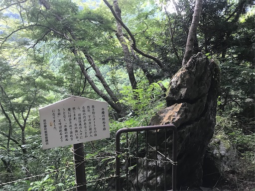 f:id:kichibun:20200831143945j:image f:id:kichibun:20200831143945j:image
