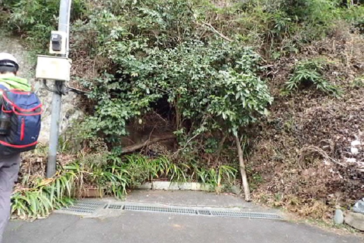 f:id:kichichan:20190223233805j:plain f:id:kichichan:20190223233805j:plain
