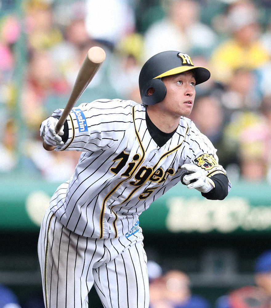 阪神タイガース 近本光司選手 『プロコレ』中綿ジャケット 阪神タイガース 近本光司選手 『プロコレ』中綿ジャケット