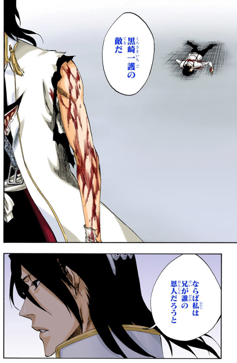 朽木白哉～確固たる「誇り」～【BLEACH】 - きちのうすめ雑記