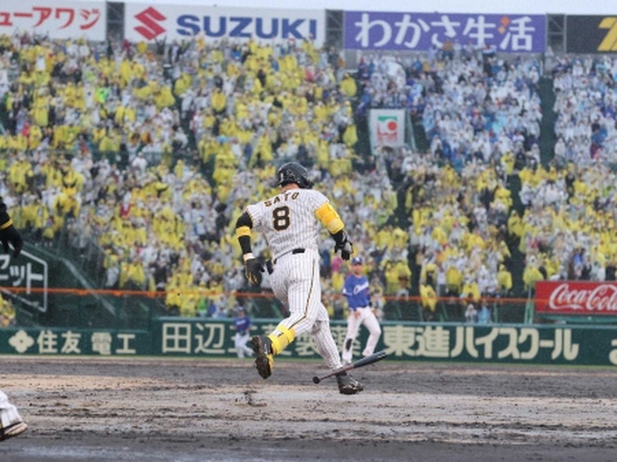阪神タイガース（2024）中日戦～主砲の一撃と阪神園芸の素晴らしい働き