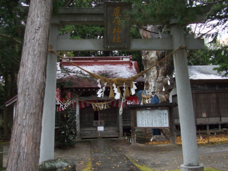 f:id:kick:20091117123518j:image