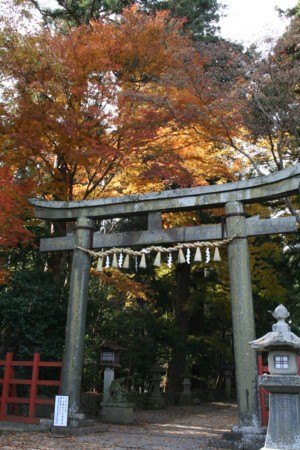 f:id:kick:20091127123836j:image