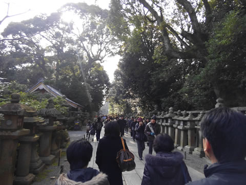 f:id:kickboy:20170103000256j:plain