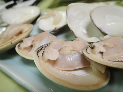 f:id:kickboy:20180508231004j:plain f:id:kickboy:20180508231004j:plain