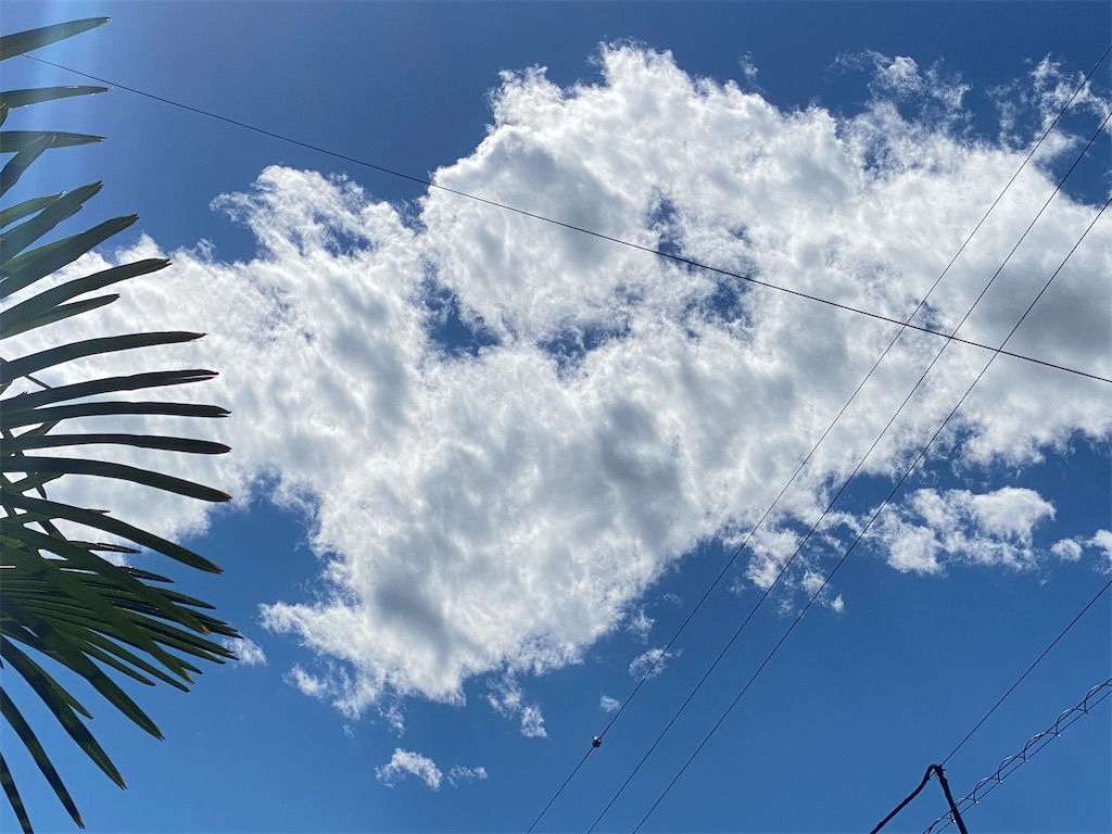 真夏だけど 秋近し Kicky Kiteの日記 真夏だけど 秋近し Kicky Kiteの日記
