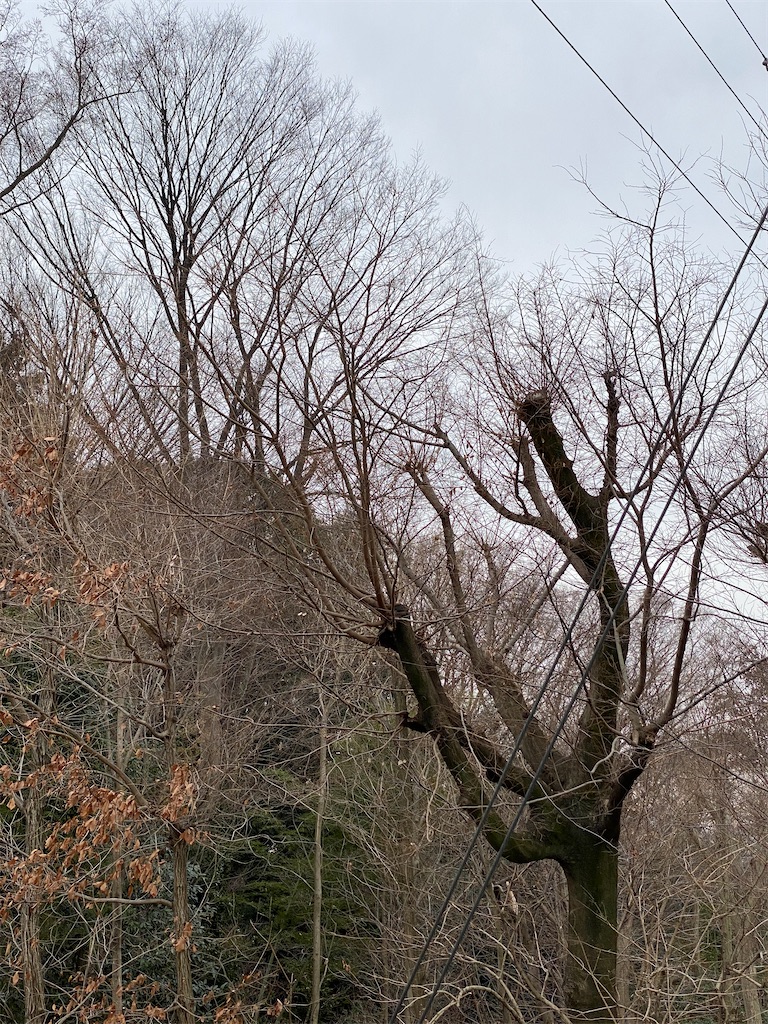 f:id:kicky-kite:20220219154419j:image f:id:kicky-kite:20220219154419j:image