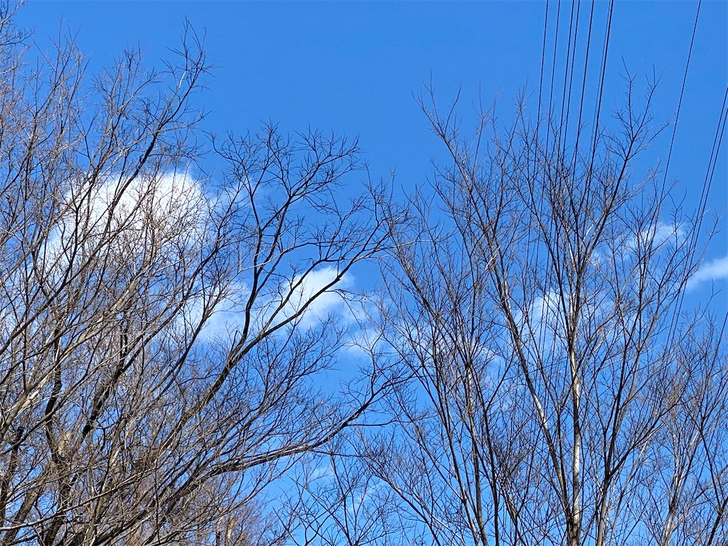 f:id:kicky-kite:20220221140808j:image f:id:kicky-kite:20220221140808j:image