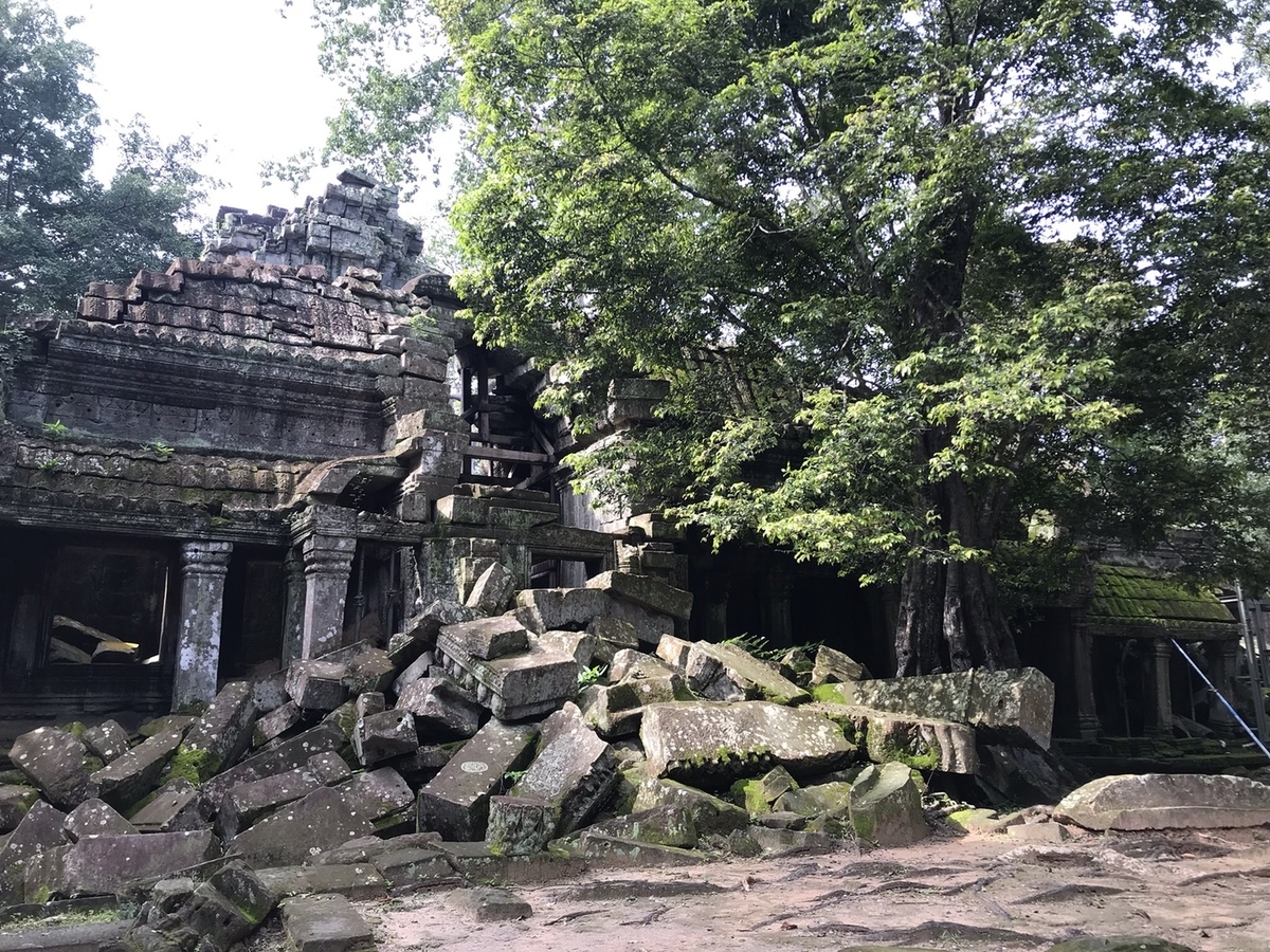 f:id:kicorimaki:20191008111136j:plain f:id:kicorimaki:20191008111136j:plain