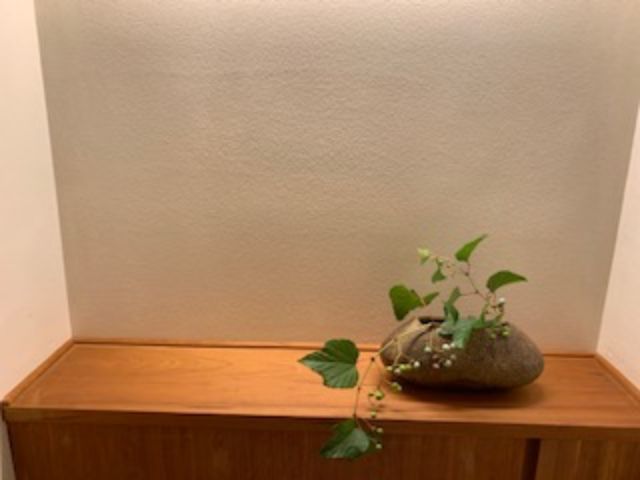 f:id:kidamomoko:20200514051353j:plain