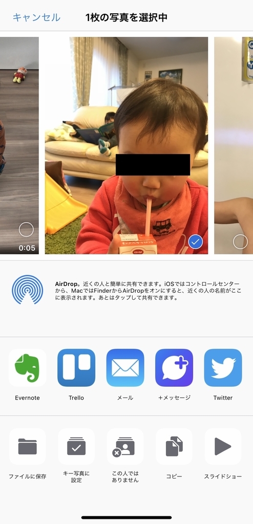 f:id:kidani_a:20190128181317j:plain