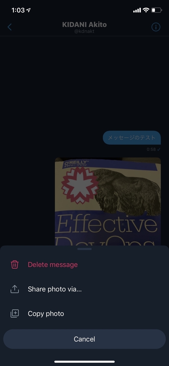 f:id:kidani_a:20190524032248j:plain