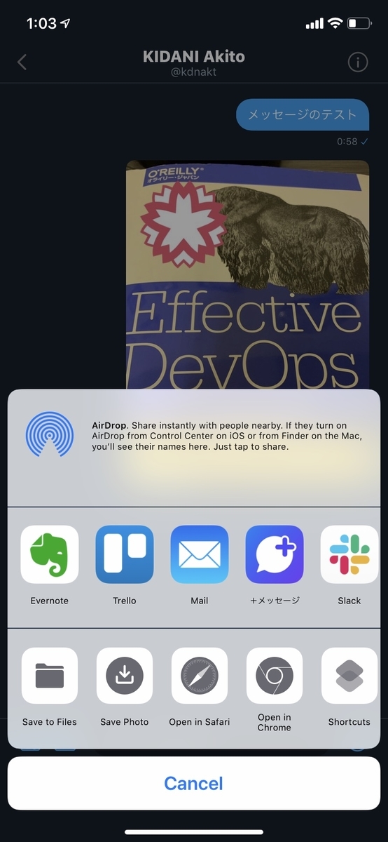f:id:kidani_a:20190524032433j:plain