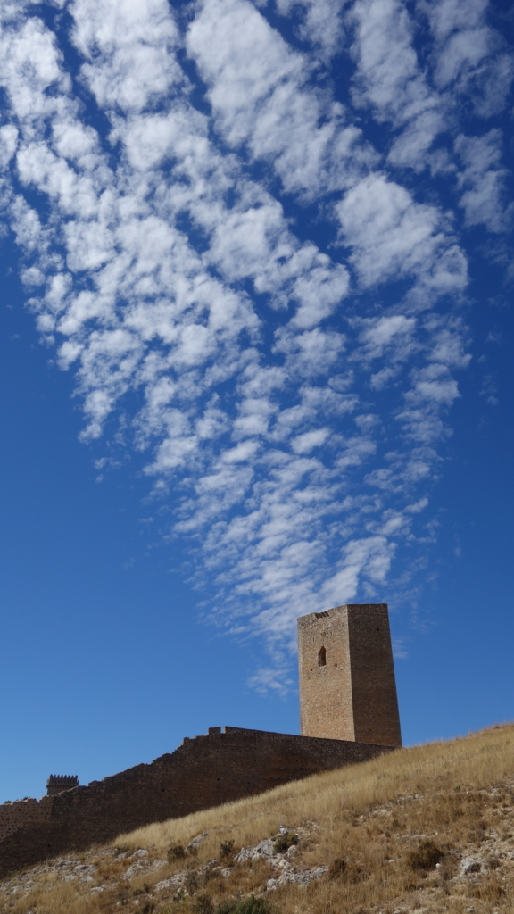 f:id:kiddomaru3:20180608182423j:plain