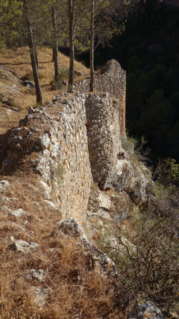 f:id:kiddomaru3:20180608182457j:plain