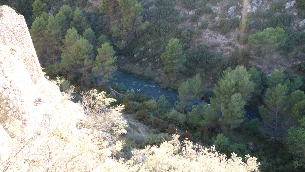 f:id:kiddomaru3:20180608182504j:plain