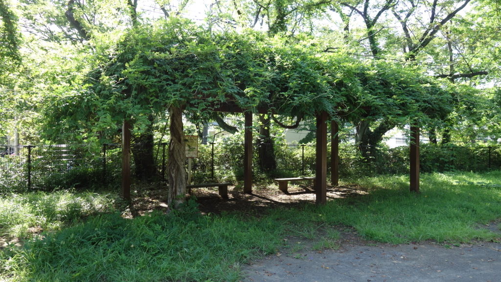 f:id:kiddomaru3:20180818022711j:plain