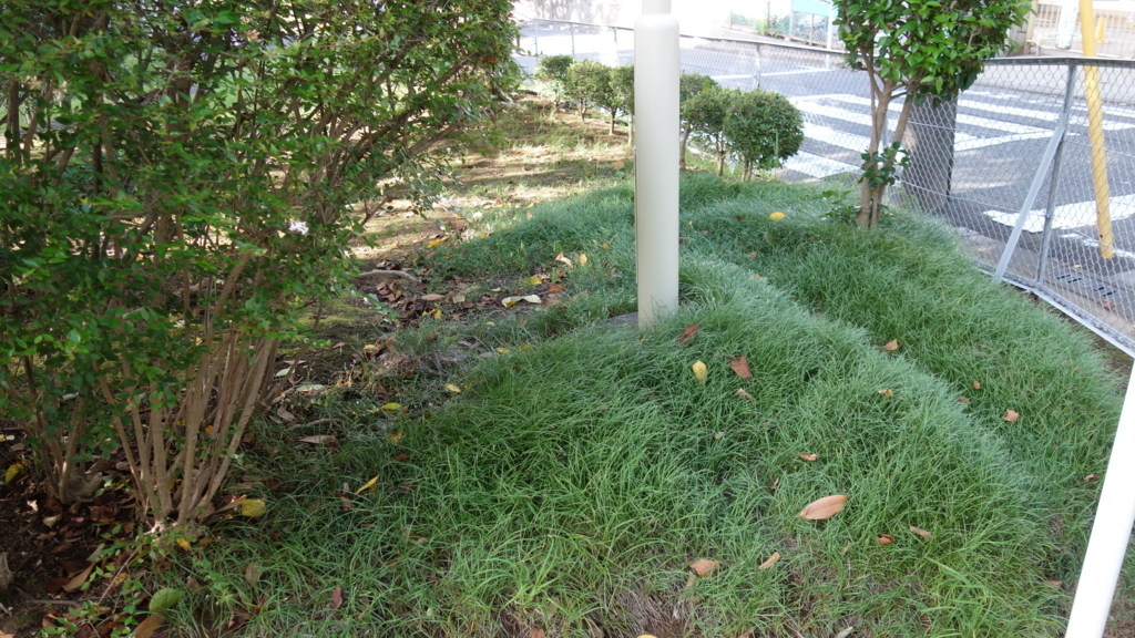 f:id:kiddomaru3:20180818022835j:plain