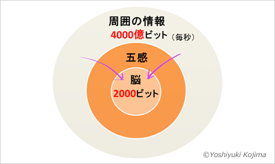 f:id:kidism:20211208142132p:plain