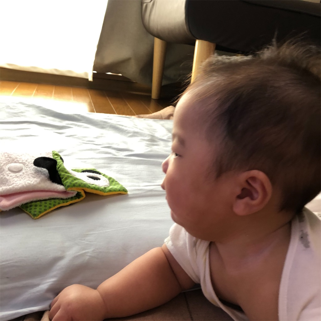 f:id:kidokoro0521:20200821154943j:image f:id:kidokoro0521:20200821154943j:image