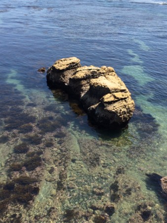 f:id:kidou:20140517131922j:image