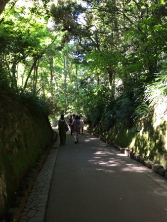 f:id:kidou:20140517145028j:image